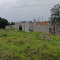 Bongoni 1