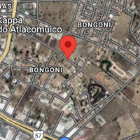 Bongoni 5
