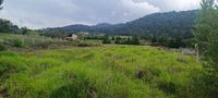 Vista panorámica del terreno en venta en Diximoxi, Atlacomulco, Estado de México, dentro del paraje Tichculu, con vegetación natural y entorno campestre.