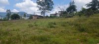 Vista panorámica del terreno en San Juan Coajomulco, ligera pendiente y cielo despejado.